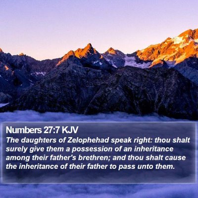 Numbers 27:7 KJV Bible Verse Image