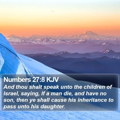 Numbers 27:8 KJV Bible Verse Image