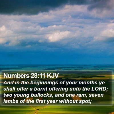 Numbers 28:11 KJV Bible Verse Image