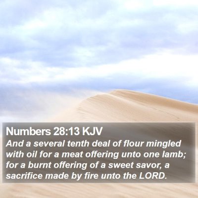 Numbers 28:13 KJV Bible Verse Image
