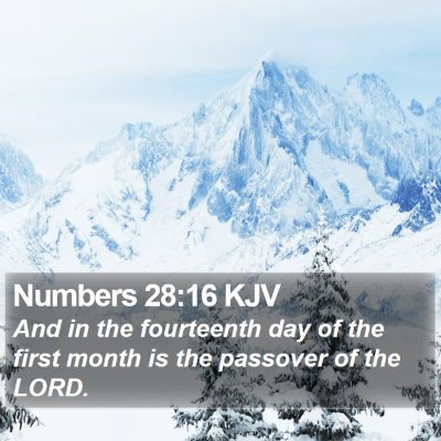 Numbers 28:16 KJV Bible Verse Image