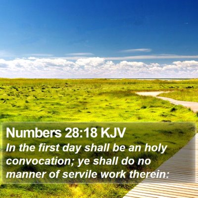 Numbers 28:18 KJV Bible Verse Image