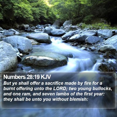 Numbers 28:19 KJV Bible Verse Image