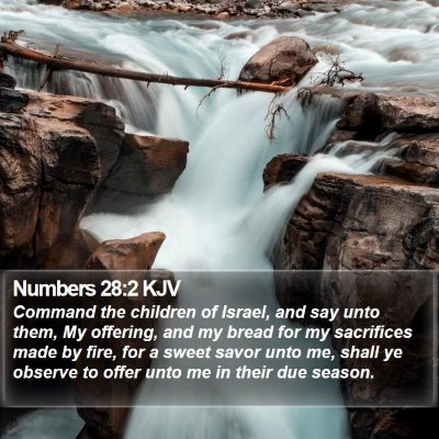 Numbers 28:2 KJV Bible Verse Image