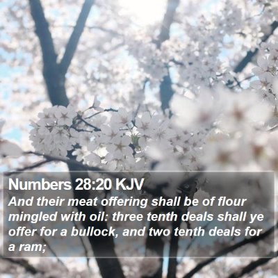 Numbers 28:20 KJV Bible Verse Image