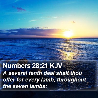 Numbers 28:21 KJV Bible Verse Image