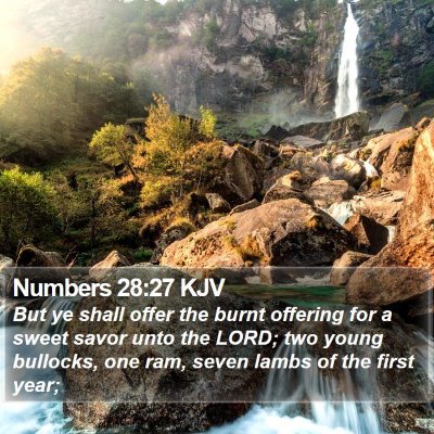 Numbers 28:27 KJV Bible Verse Image