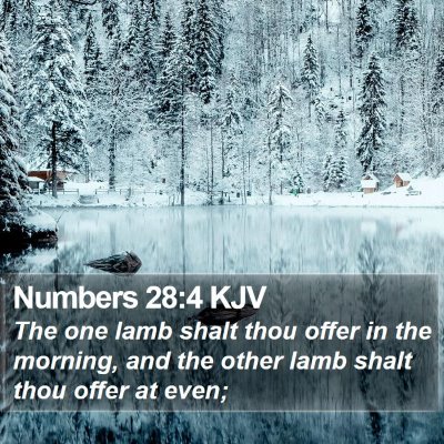 Numbers 28:4 KJV Bible Verse Image