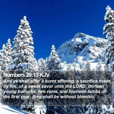 Numbers 29:13 KJV Bible Verse Image