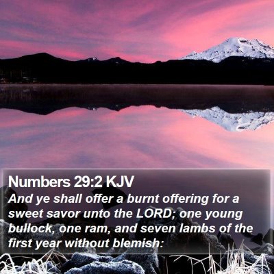 Numbers 29:2 KJV Bible Verse Image