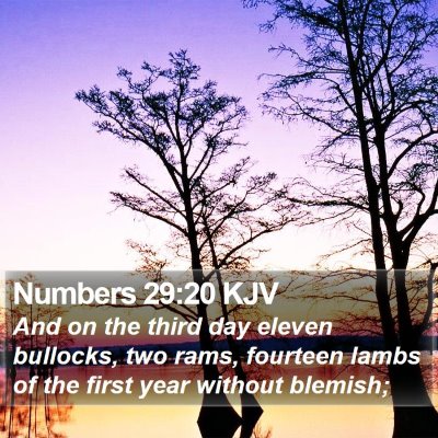 Numbers 29:20 KJV Bible Verse Image
