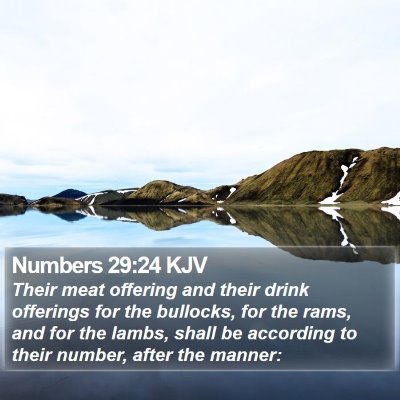 Numbers 29:24 KJV Bible Verse Image