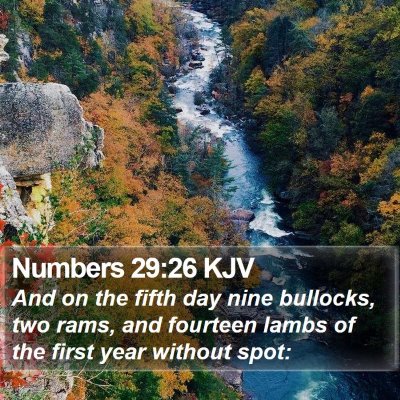 Numbers 29:26 KJV Bible Verse Image