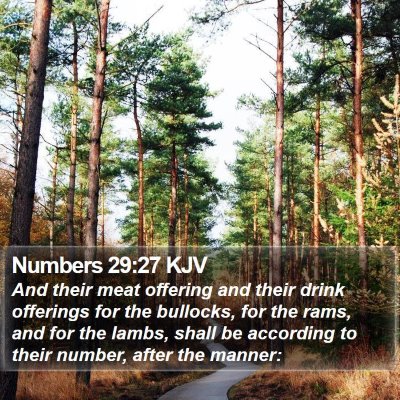 Numbers 29:27 KJV Bible Verse Image
