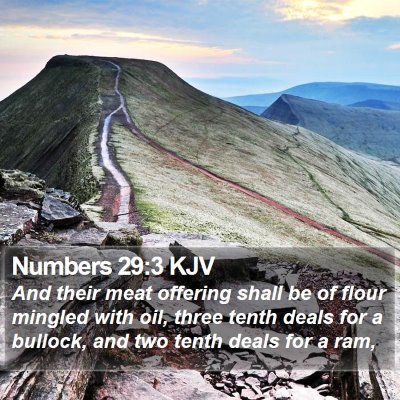 Numbers 29:3 KJV Bible Verse Image