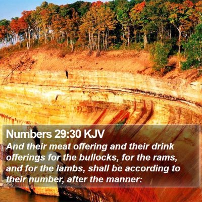 Numbers 29:30 KJV Bible Verse Image