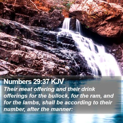 Numbers 29:37 KJV Bible Verse Image