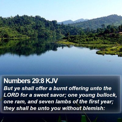 Numbers 29:8 KJV Bible Verse Image