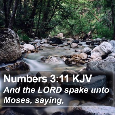 Numbers 3:11 KJV Bible Verse Image