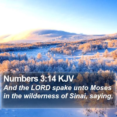Numbers 3:14 KJV Bible Verse Image