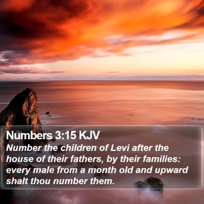Numbers 3:15 KJV Bible Verse Image