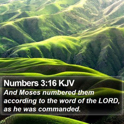 Numbers 3:16 KJV Bible Verse Image