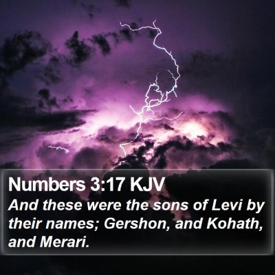 Numbers 3:17 KJV Bible Verse Image