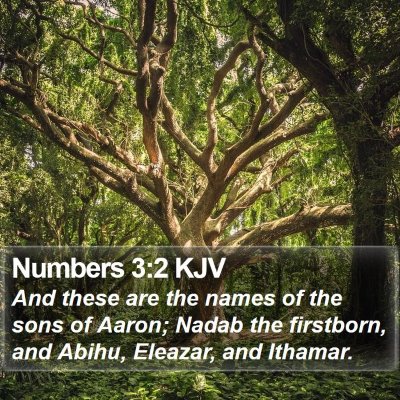 Numbers 3:2 KJV Bible Verse Image