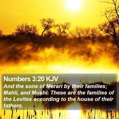 Numbers 3:20 KJV Bible Verse Image
