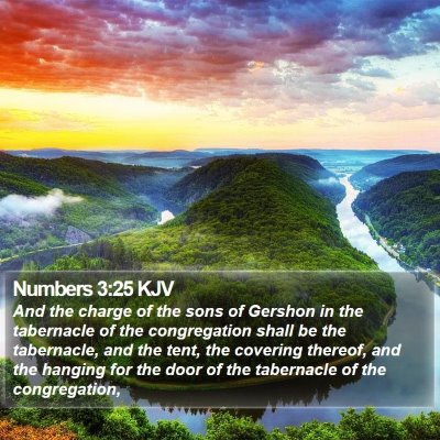 Numbers 3:25 KJV Bible Verse Image