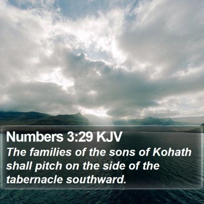 Numbers 3:29 KJV Bible Verse Image