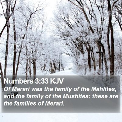 Numbers 3:33 KJV Bible Verse Image