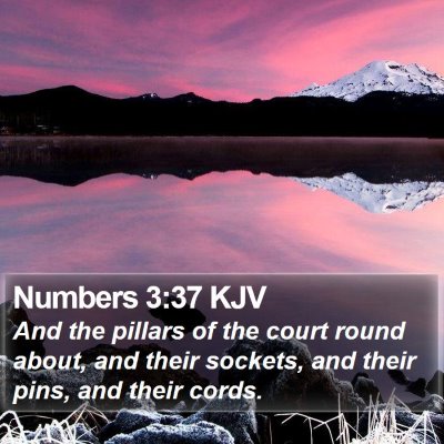 Numbers 3:37 KJV Bible Verse Image