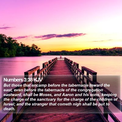 Numbers 3:38 KJV Bible Verse Image