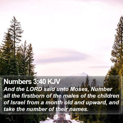 Numbers 3:40 KJV Bible Verse Image
