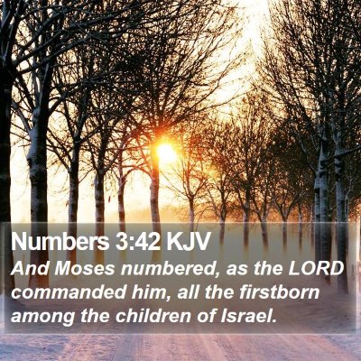 Numbers 3:42 KJV Bible Verse Image