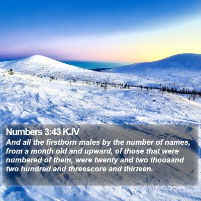 Numbers 3:43 KJV Bible Verse Image
