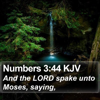 Numbers 3:44 KJV Bible Verse Image