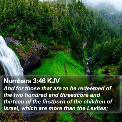 Numbers 3:46 KJV Bible Verse Image