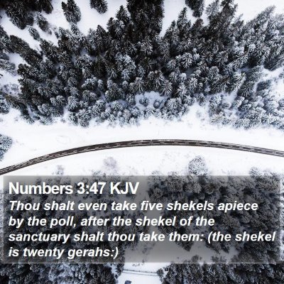 Numbers 3:47 KJV Bible Verse Image