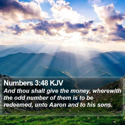 Numbers 3:48 KJV Bible Verse Image