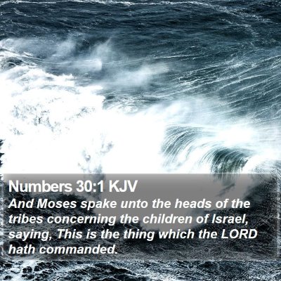 Numbers 30:1 KJV Bible Verse Image