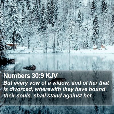 Numbers 30:9 KJV Bible Verse Image