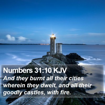 Numbers 31:10 KJV Bible Verse Image