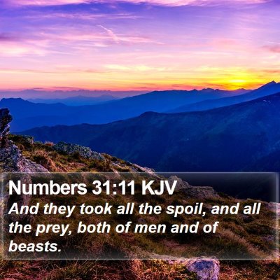 Numbers 31:11 KJV Bible Verse Image