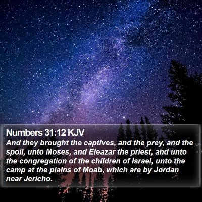 Numbers 31:12 KJV Bible Verse Image