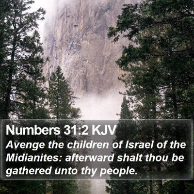 Numbers 31:2 KJV Bible Verse Image