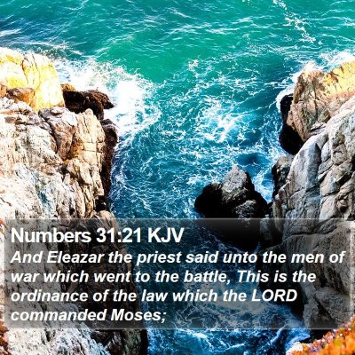 Numbers 31:21 KJV Bible Verse Image