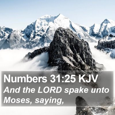 Numbers 31:25 KJV Bible Verse Image