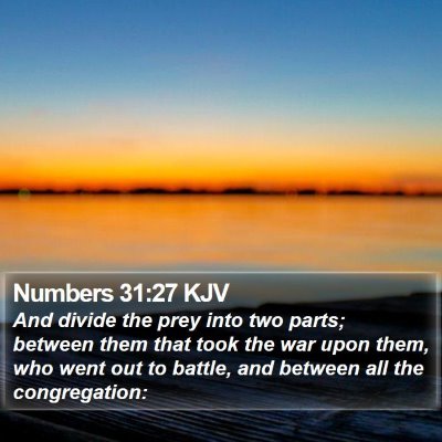Numbers 31:27 KJV Bible Verse Image